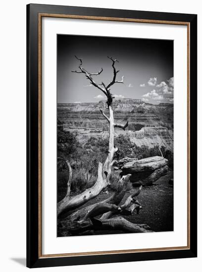 Grand Canyon - National Park - Arizona - United States-Philippe Hugonnard-Framed Photographic Print