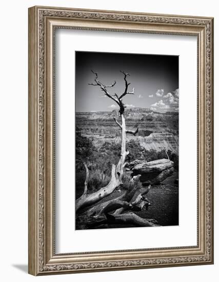 Grand Canyon - National Park - Arizona - United States-Philippe Hugonnard-Framed Photographic Print