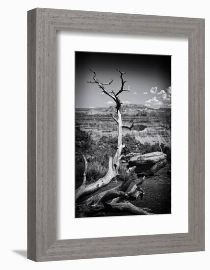 Grand Canyon - National Park - Arizona - United States-Philippe Hugonnard-Framed Photographic Print