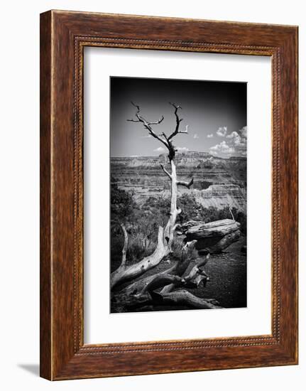 Grand Canyon - National Park - Arizona - United States-Philippe Hugonnard-Framed Photographic Print