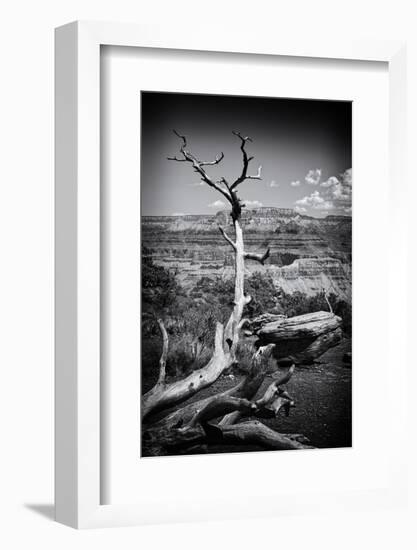 Grand Canyon - National Park - Arizona - United States-Philippe Hugonnard-Framed Photographic Print