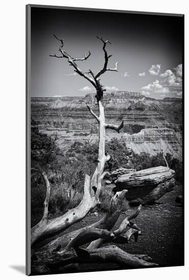 Grand Canyon - National Park - Arizona - United States-Philippe Hugonnard-Mounted Photographic Print
