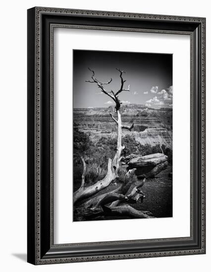 Grand Canyon - National Park - Arizona - United States-Philippe Hugonnard-Framed Photographic Print