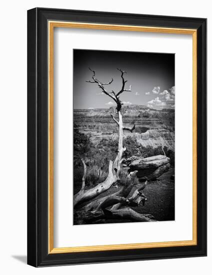 Grand Canyon - National Park - Arizona - United States-Philippe Hugonnard-Framed Photographic Print