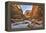 Grand Canyon National Park, Arizona, USA-Matt Freedman-Framed Premier Image Canvas