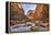 Grand Canyon National Park, Arizona, USA-Matt Freedman-Framed Premier Image Canvas