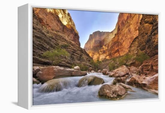 Grand Canyon National Park, Arizona, USA-Matt Freedman-Framed Premier Image Canvas