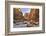 Grand Canyon National Park, Arizona, USA-Matt Freedman-Framed Photographic Print