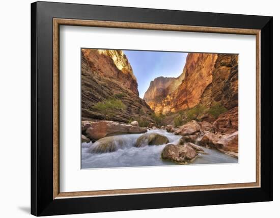 Grand Canyon National Park, Arizona, USA-Matt Freedman-Framed Photographic Print