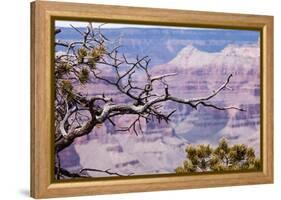 Grand Canyon National Park, Arizona-Curioso Travel Photography-Framed Premier Image Canvas