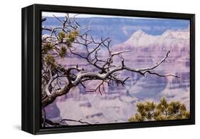 Grand Canyon National Park, Arizona-Curioso Travel Photography-Framed Premier Image Canvas