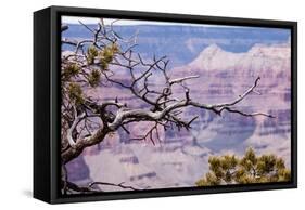 Grand Canyon National Park, Arizona-Curioso Travel Photography-Framed Premier Image Canvas