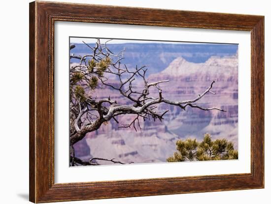 Grand Canyon National Park, Arizona-Curioso Travel Photography-Framed Photographic Print