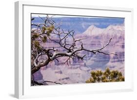 Grand Canyon National Park, Arizona-Curioso Travel Photography-Framed Photographic Print