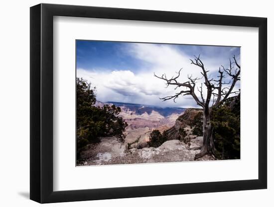 Grand Canyon National Park, Arizona-Curioso Travel Photography-Framed Photographic Print