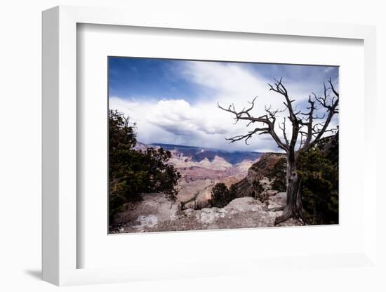 Grand Canyon National Park, Arizona-Curioso Travel Photography-Framed Photographic Print