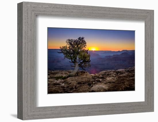 Grand Canyon National Park Arizona-pxhidalgo-Framed Photographic Print