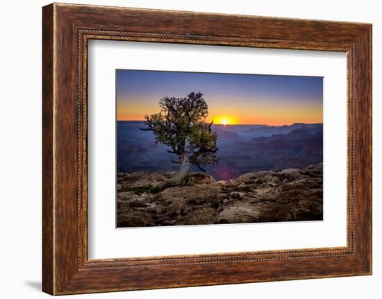 Grand Canyon National Park Arizona-pxhidalgo-Framed Photographic Print