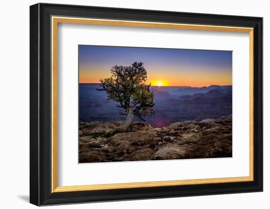 Grand Canyon National Park Arizona-pxhidalgo-Framed Photographic Print