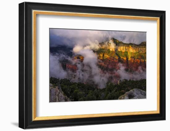 Grand Canyon National Park, Arizona-Jerry Ginsberg-Framed Photographic Print