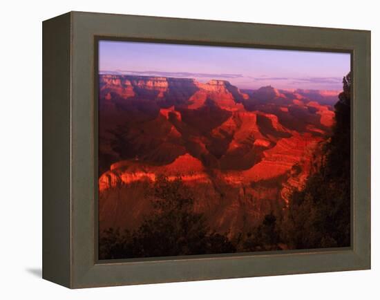 Grand Canyon National Park, AZ-Gary Conner-Framed Premier Image Canvas