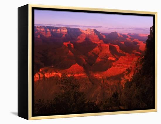 Grand Canyon National Park, AZ-Gary Conner-Framed Premier Image Canvas