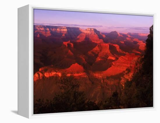 Grand Canyon National Park, AZ-Gary Conner-Framed Premier Image Canvas