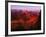 Grand Canyon National Park, AZ-Gary Conner-Framed Photographic Print