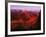 Grand Canyon National Park, AZ-Gary Conner-Framed Photographic Print