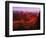 Grand Canyon National Park, AZ-Gary Conner-Framed Photographic Print