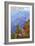 Grand Canyon National Park - Bright Angel Trail-Lantern Press-Framed Premium Giclee Print