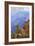 Grand Canyon National Park - Bright Angel Trail-Lantern Press-Framed Premium Giclee Print