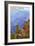 Grand Canyon National Park - Bright Angel Trail-Lantern Press-Framed Premium Giclee Print