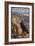 Grand Canyon National Park - Ravens at South Rim-Lantern Press-Framed Art Print