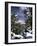 Grand Canyon National Park, Trees Covered with Snow, Arizona, USA-Adam Jones-Framed Photographic Print