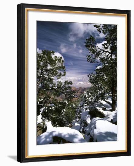 Grand Canyon National Park, Trees Covered with Snow, Arizona, USA-Adam Jones-Framed Photographic Print