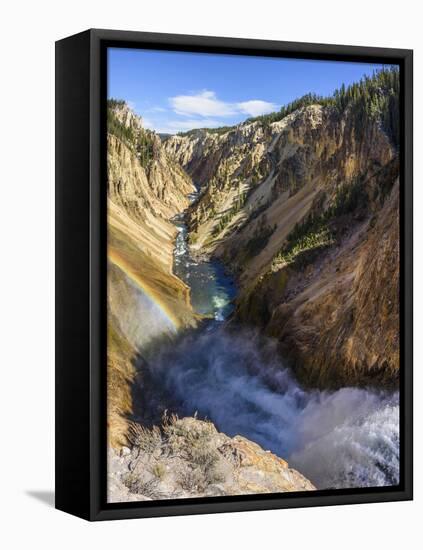 Grand Canyon of the Yellowstone River from Brink of the Lower Falls, Wyoming-Gary Cook-Framed Premier Image Canvas