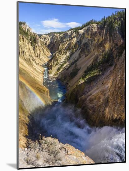 Grand Canyon of the Yellowstone River from Brink of the Lower Falls, Wyoming-Gary Cook-Mounted Photographic Print