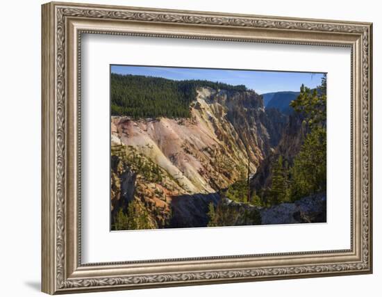 Grand Canyon of the Yellowstone River, Yellowstone National Park, Wyoming, United States of America-Gary Cook-Framed Photographic Print