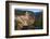 Grand Canyon of the Yellowstone River, Yellowstone National Park, Wyoming, United States of America-Gary Cook-Framed Photographic Print