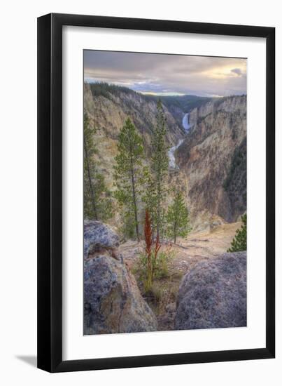 Grand Canyon of the Yellowstone Sunset, Wyoming-Vincent James-Framed Photographic Print