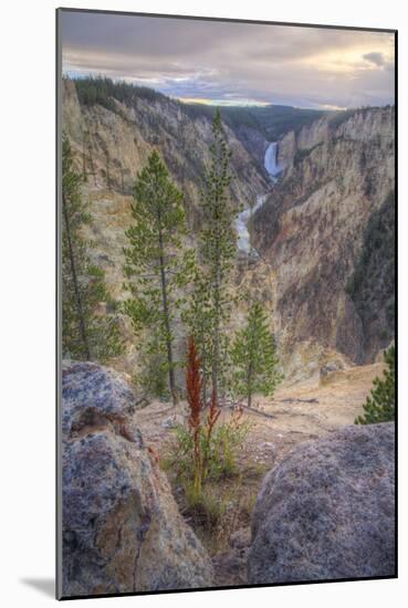 Grand Canyon of the Yellowstone Sunset, Wyoming-Vincent James-Mounted Photographic Print