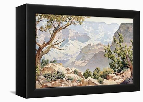 Grand Canyon-Gunnar Widforss-Framed Premier Image Canvas