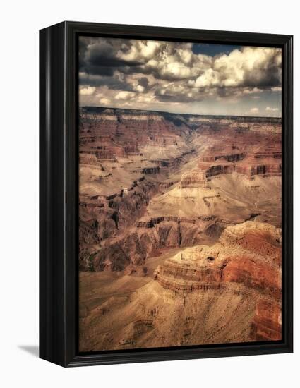 Grand Canyon-Andrea Costantini-Framed Premier Image Canvas