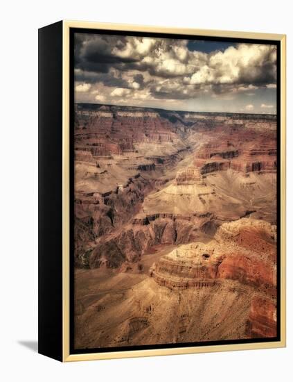 Grand Canyon-Andrea Costantini-Framed Premier Image Canvas
