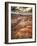 Grand Canyon-Andrea Costantini-Framed Photographic Print