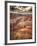 Grand Canyon-Andrea Costantini-Framed Photographic Print