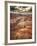 Grand Canyon-Andrea Costantini-Framed Photographic Print