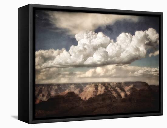 Grand Canyon-Andrea Costantini-Framed Premier Image Canvas