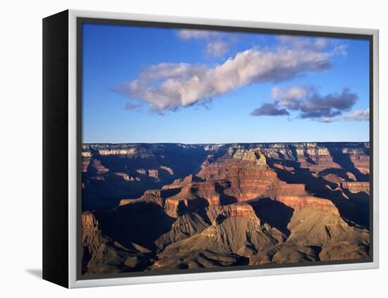 Grand Canyon-Charles Bowman-Framed Premier Image Canvas